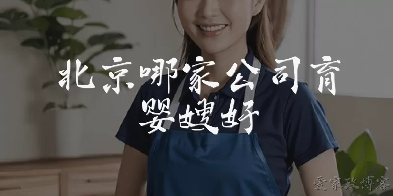 Which company in Beijing has good nannies