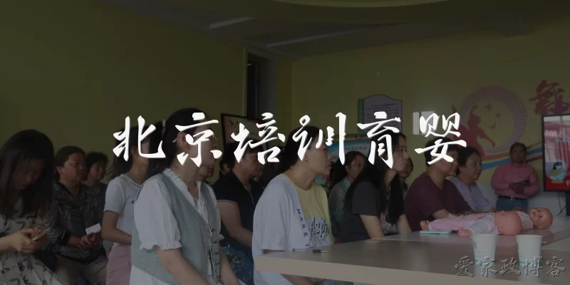 北京培训育婴