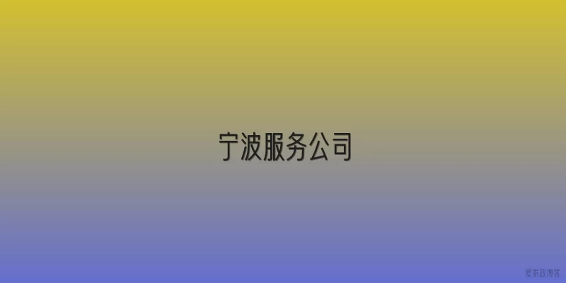宁波服务公司