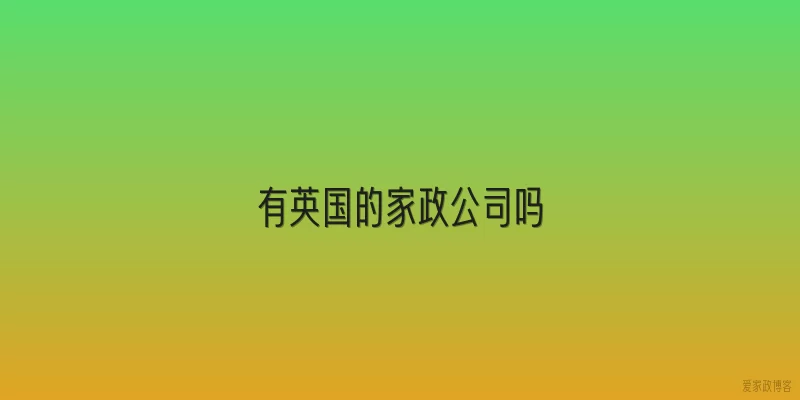 有英国的家政公司吗