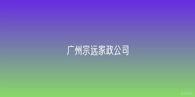 广州宗远家政公司