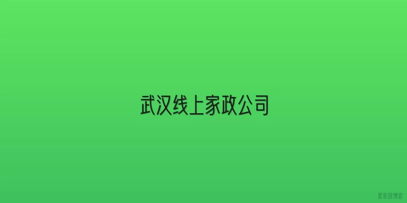 武汉线上家政公司