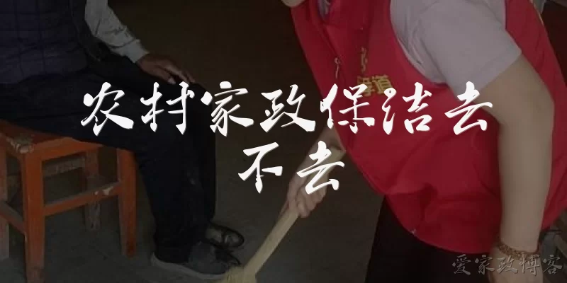 Should rural domestic cleaning services be provided?