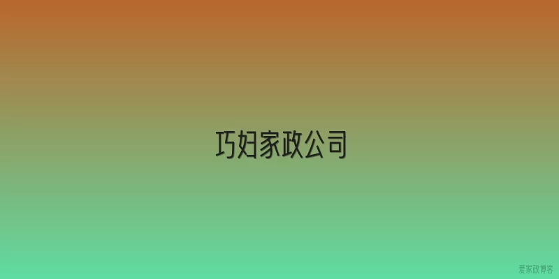 巧妇家政公司