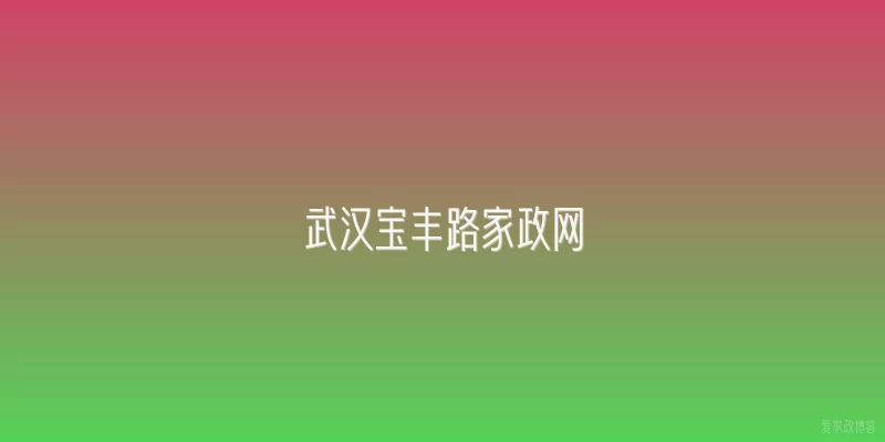 武汉宝丰路家政网