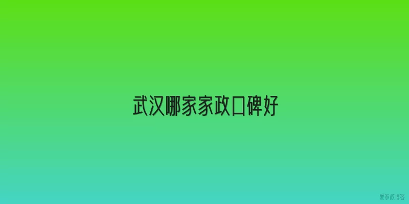 武汉哪家家政口碑好