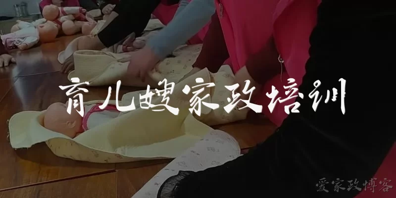 育儿嫂家政培训