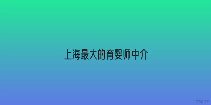 上海最大的育婴师中介