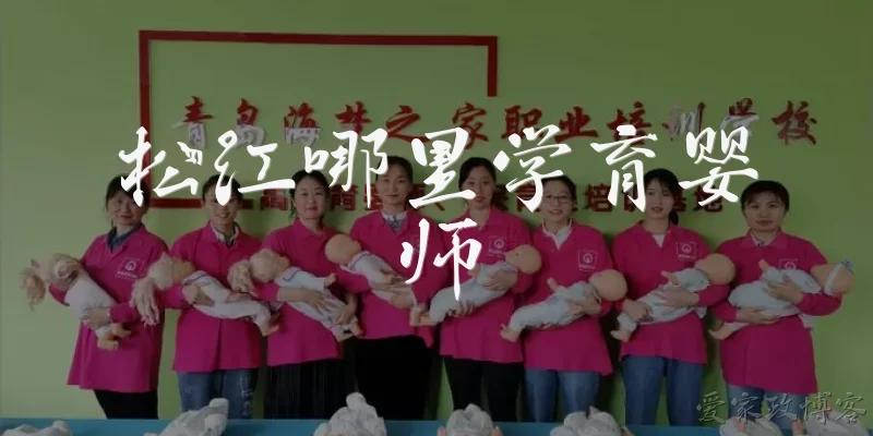 松江哪里学育婴师