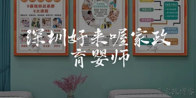 深圳好来喔家政育婴师