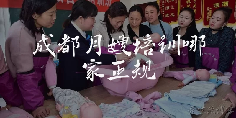 Which maternity nurse training institutions in Chengdu are legitimate