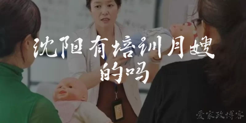 沈阳有培训月嫂的吗